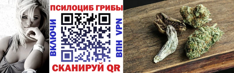 Галлюциногенные грибы Cubensis  ссылка на мегу зеркало  Пудож 